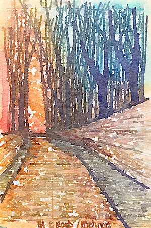 Back Roads