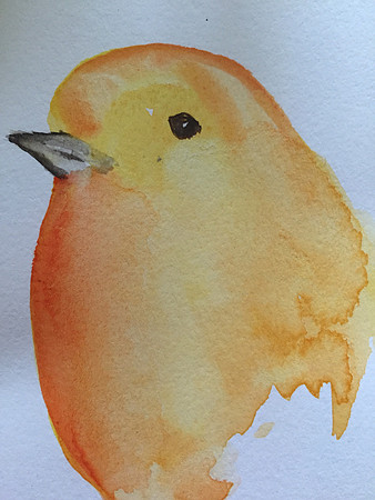 potato beek