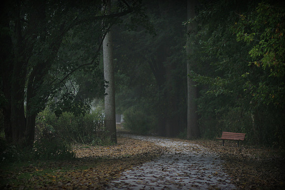 Walk