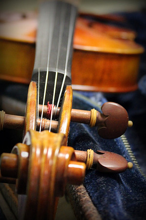 Strings