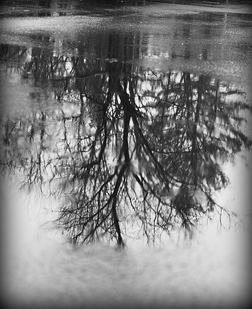 Reflection