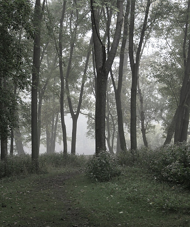 Mystery