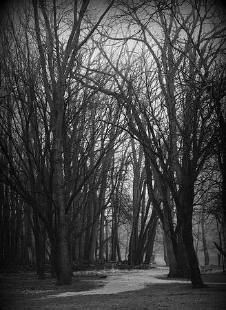 Side Cut Metro Park, Maumee, Ohio
