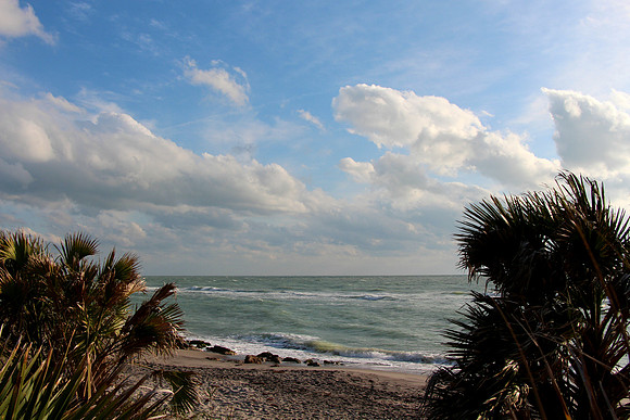 Venice, Fl.