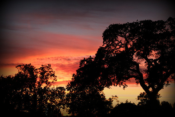 Citrus Heights, Ca.