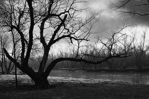 Side Cut Metro Park, Maumee, Ohio