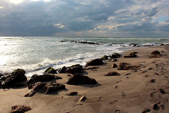 Venice, Fl.