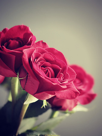 Anniversary